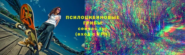 МДПВ Горно-Алтайск