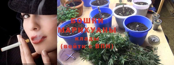 МДПВ Горно-Алтайск