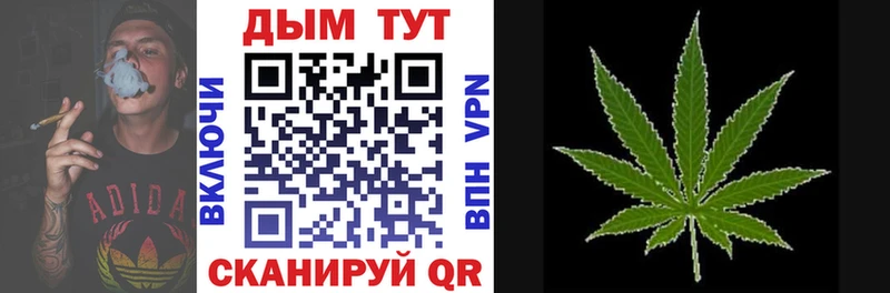 Бошки марихуана OG Kush  цены   Красноярск 
